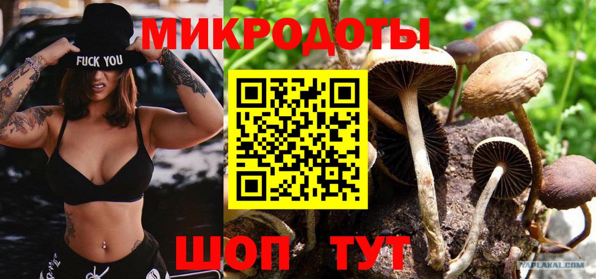 Осинники  как найти наркотики  Вход с VPN  Галлюциногенные грибы Psilocybe 