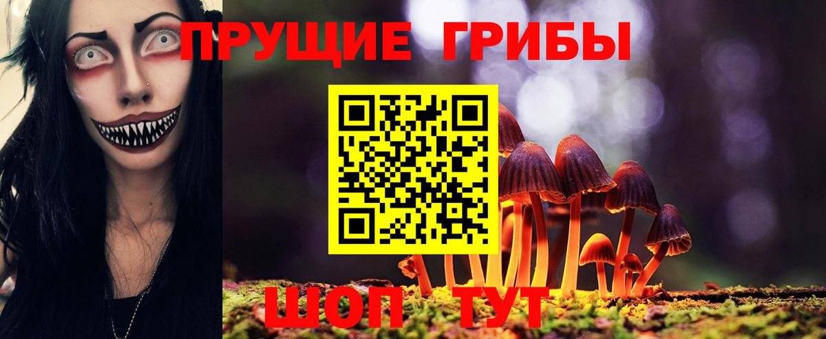 Псилоцибиновые грибы Magic Shrooms Осинники