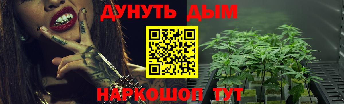 Конопля марихуана Осинники